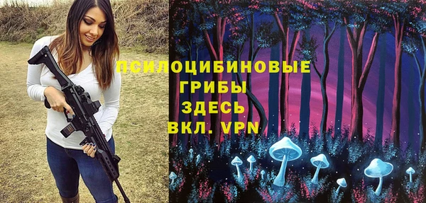 а пвп мука Белокуриха