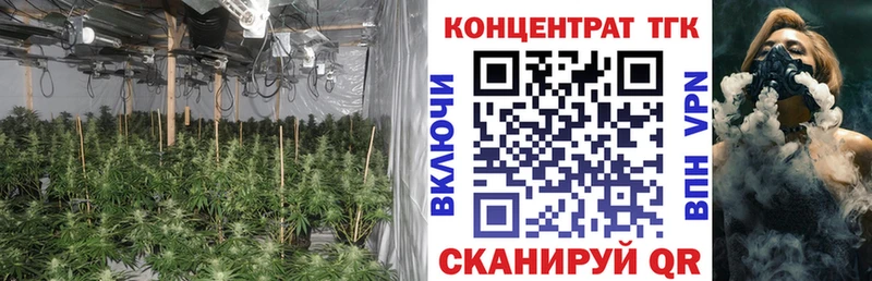 продажа наркотиков  mega зеркало  Дистиллят ТГК концентрат  Елабуга 